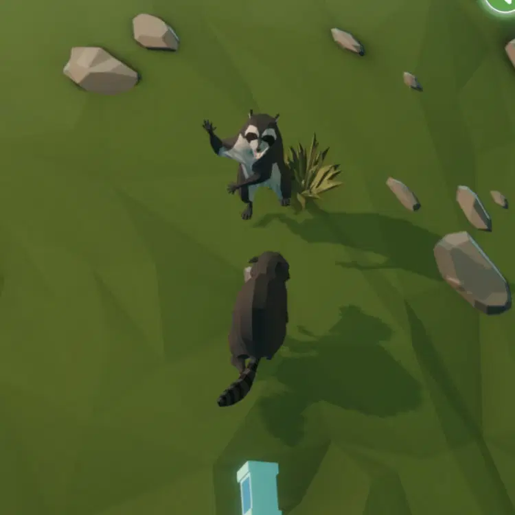 Trash n Tail Raccoon Bandit